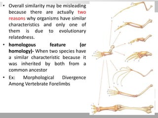 • Overall similarity may be misleading
because there are actually two
reasons why organisms have similar
characteristics and only one of
them is due to evolutionary
relatedness.
• homologous feature (or
homology)- When two species have
a similar characteristic because it
was inherited by both from a
common ancestor
• Ex: Morphological Divergence
Among Vertebrate Forelimbs
 
