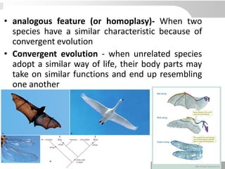 • analogous feature (or homoplasy)- When two
species have a similar characteristic because of
convergent evolution
• Convergent evolution - when unrelated species
adopt a similar way of life, their body parts may
take on similar functions and end up resembling
one another
 