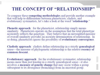 3 schools of systematics