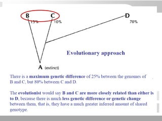 3 schools of systematics
