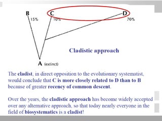3 schools of systematics