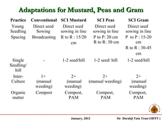 Adaptations for Mustard, Peas and Gram
Practice    Conventional SCI Mustard             SCI Peas         SCI Gram
Young        Direct seed  Direct seed           Direct seed       Direct seed
Seedling      Sowing     sowing in line        sowing in line    sowing in line
Spacing     Broadcasting R to R : 15/20        P to P: 20 cm     P to P : 15-20
                              cm               R to R: 30 cm           cm
                                                                 R to R : 30-45
                                                                       cm
 Single          -         1-2 seed/hill       1-2 seed/ hill     1-2 seed/hill
Seedling/
   hill
  Inter-        1+             2+                2+                    2+
 Culture      (manual        (manual       (manual weeding)          (manual
              weeding)      weeding)                                weeding)
Organic       Compost       Compost,            Compost,            Compost,
matter                        PAM                 PAM                 PAM



                               January, 2012                Sir Dorabji Tata Trust (SDTT )
 