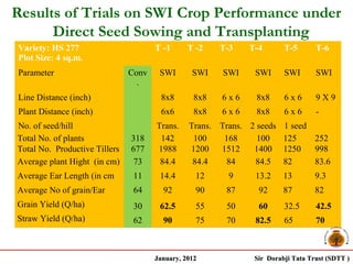 Results of Trials on SWI Crop Performance under
      Direct Seed Sowing and Transplanting
Variety: HS 277                       T -1      T -2    T-3   T-4       T-5       T-6
Plot Size: 4 sq.m.
Parameter                      Conv    SWI       SWI    SWI    SWI      SWI       SWI
                                 .
Line Distance (inch)                    8x8       8x8   6x6     8x8     6x6       9X9
Plant Distance (inch)                   6x6       8x8   6x6     8x8     6x6       -
No. of seed/hill                      Trans.    Trans. Trans. 2 seeds   1 seed
Total No. of plants            318     142       100    168     100     125    252
Total No. Productive Tillers   677    1988      1200   1512    1400     1250   998
Average plant Hight (in cm)     73     84.4      84.4    84    84.5     82     83.6
Average Ear Length (in cm       11     14.4       12      9     13.2    13        9.3
Average No of grain/Ear         64      92        90     87     92      87        82
Grain Yield (Q/ha)              30     62.5       55     50     60      32.5      42.5
Straw Yield (Q/ha)              62      90        75     70     82.5    65        70



                                      January, 2012            Sir Dorabji Tata Trust (SDTT )
 
