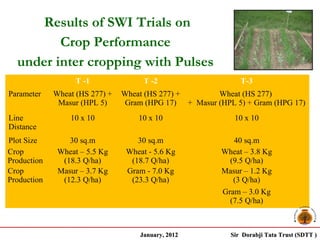 Results of SWI Trials on
         Crop Performance
  under inter cropping with Pulses
                   T -1               T -2                    T-3
Parameter    Wheat (HS 277) +   Wheat (HS 277) +       Wheat (HS 277)
              Masur (HPL 5)      Gram (HPG 17) + Masur (HPL 5) + Gram (HPG 17)
Line             10 x 10            10 x 10                 10 x 10
Distance
Plot Size        30 sq.m            30 sq.m                40 sq.m
Crop          Wheat – 5.5 Kg     Wheat - 5.6 Kg         Wheat – 3.8 Kg
Production     (18.3 Q/ha)        (18.7 Q/ha)             (9.5 Q/ha)
Crop          Masur – 3.7 Kg     Gram - 7.0 Kg          Masur – 1.2 Kg
Production     (12.3 Q/ha)        (23.3 Q/ha)              (3 Q/ha)
                                                        Gram – 3.0 Kg
                                                          (7.5 Q/ha)



                                     January, 2012         Sir Dorabji Tata Trust (SDTT )
 