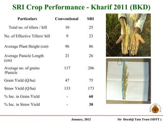 SRI Crop Performance - Kharif 2011 (BKD)
        Particulars              Conventional        SRI

  Total no. of tillers / hill         10              25

No. of Effective Tillers/ hill        9               23

Average Plant Height (cm)             96              86

Average Panicle Length                21              26
(cm)
Average no. of grains                117              206
/Panicle
Grain Yield (Q/ha)                    47              75
Straw Yield (Q/ha)                   133              173
% Inc. in Grain Yield                 -               60
% Inc. in Straw Yield                 -               30


                                           January, 2012    Sir Dorabji Tata Trust (SDTT )
 