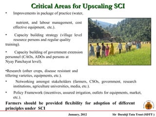 Critical Areas for Upscaling SCI
•   Improvements in package of practice (water,

      nutrient, and labour management, cost
    effective equipment, etc.).
•      Capacity building strategy (village level
      resource persons and regular quality
training).
•    Capacity building of government extension
personnel (CAOs, ADOs and persons at
Nyay Panchayat level).

•Research (other crops, disease resistant and
tillering varieties, equipments, etc.).
•       Networking amongst stakeholders (farmers, CSOs, government, research
      institutions, agriculture universities, media, etc.).
•   Policy Framework (incentives, assured irrigation, outlets for equipments, market,
    etc.).
Farmers should be provided flexibility for adoption of different
principles under SCI
                                       January, 2012              Sir Dorabji Tata Trust (SDTT )
 