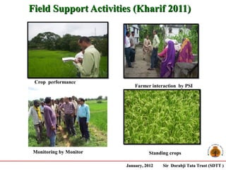 Field Support Activities (Kharif 2011)




 Crop performance
                             Farmer interaction by PSI




 Monitoring by Monitor             Standing crops

                         January, 2012   Sir Dorabji Tata Trust (SDTT )
 