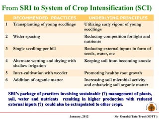 From SRI to System of Crop Intensification (SCI)
       RECOMMENDED PRACTICES                           UNDERLYING PRINCIPLES
 1     Transplanting of young seedlings          Utilizing early vigour of young
                                                 seedlings
 2     Wider spacing                             Reducing competition for light and
                                                 nutrients
 3     Single seedling per hill                  Reducing external inputs in form of
                                                 seeds, water, etc
 4     Alternate wetting and drying with         Keeping soil from becoming anoxic
       shallow irrigation
 5     Inter-cultivation with weeder             Promoting healthy root growth
 6     Addition of organic matter                Increasing soil microbial activity
                                                 and enhancing soil organic matter

     SRI’s package of practices involving sustainable (?) management of plants,
     soil, water and nutrients resulting in higher production with reduced
     external inputs (?) could also be extrapolated to other crops.

                                       January, 2012             Sir Dorabji Tata Trust (SDTT )
 