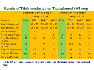 Results of Trials conducted on Transplanted SWI crop
                        Dharamshala Block, Kangra             Jhandutta Block, Bilaspur
                                 Variety: HS 295                      Variety: HS 277
Parameter               Conv.   SWI-1     SWI -2    SWI-3     Conv. SWI-1      SWI-2    SWI-2
Line Distance (cm)              25 x 25   20 x 20   15 x 15          20 x 20   20 x 20 15 x 15
Seed Distance (cm)              25 x 25   20 x 20   15 x 15          15 x 15   20 x 20 15 x 15
No. of seed/hill                  2          2         2                1         1        1
No. of Tillers/Plant      2       13         7         5        2      14        12        9
Avg. Plant Height        73       85        78        82       73      84        84       84
(in cm)
Avg. Ear Length          7.5      11        9         9        11      14.4      12       9
(in cm)
Avg. No .of grain/ear    29       44        35        37       41      58        49       35
Grain Yield (t/ha)       0.9      1.3       1.5       1.0      3.0     6.3      5.5       5.0
Straw Yield (t/ha)       1.6      2.0       2.4       1.6      6.2     9.0      7.5       7.0
  41 to 87 per cent increase in grain yield was obtained under transplanted
  SWI
 
