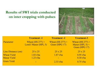 Results of SWI trials conducted
   on inter cropping with pulses




                        Treatment -1          Treatment -2        Treatment-3
Parameter             Wheat (HS 277) +       Wheat (HS 277) +   Wheat (HS 277) +
                     Lentil /Masur (HPL 5)   Gram (HPG 17)      Masur (HPL 5) +
                                                                 Gram (HPG 17)
Line Distance (cm)          25 x 25               25 x 25            25 x 25
Wheat Yield                1.83 t/ha             1.87 t/ha          0.95 t/ha
Masur Yield                1.23 t/ha                 -              0.30 t/ha
Gram Yield                     -                 2.33 t/ha          0.75 t/ha
 