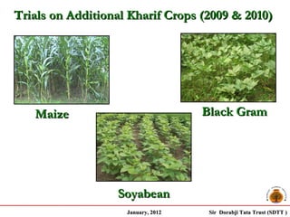 Trials on Additional Kharif Crops (2009 & 2010)




   Maize                            Black Gram




                  Soyabean
                    January, 2012    Sir Dorabji Tata Trust (SDTT )
 