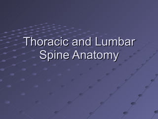 Thoracic and Lumbar Spine Anatomy 