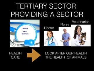 TERTIARY SECTOR:
PROVIDING A SECTOR
HEALTH
CARE
LOOK AFTER OUR HEALTH
THE HEALTH OF ANIMALS
Doctor
Nurse
Veterinarian