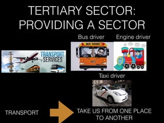 TERTIARY SECTOR:
PROVIDING A SECTOR
TRANSPORT TAKE US FROM ONE PLACE
TO ANOTHER
Bus driver Engine driver
Taxi driver