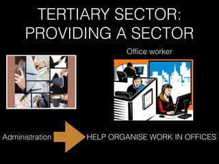 TERTIARY SECTOR:
PROVIDING A SECTOR
Administration HELP ORGANISE WORK IN OFFICES
Office worker