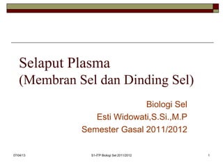07/04/13 S1-ITP Biologi Sel 2011/2012 1
Selaput Plasma
(Membran Sel dan Dinding Sel)
Biologi Sel
Esti Widowati,S.Si.,M.P
Semester Gasal 2011/2012
 