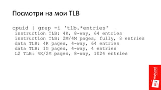 Посмотри на мои TLB
cpuid | grep -i 'tlb.*entries'
instruction TLB: 4K, 8-way, 64 entries
instruction TLB: 2M/4M pages, fully, 8 entries
data TLB: 4K pages, 4-way, 64 entries
data TLB: 1G pages, 4-way, 4 entries
L2 TLB: 4K/2M pages, 8-way, 1024 entries
 