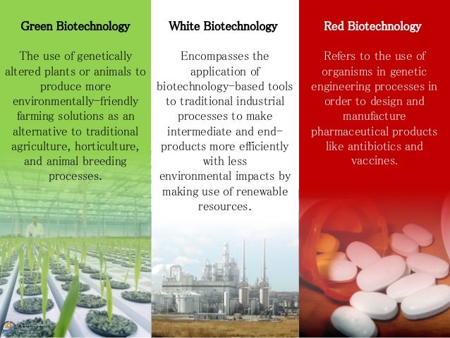 View Intellectual Property Rights In India Notes Pdf Pictures