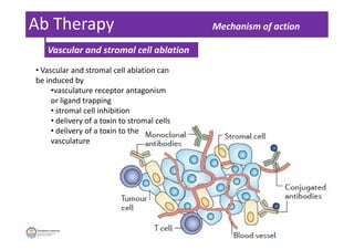 cancer immunotherapy | PDF