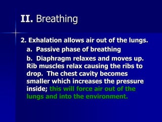 II. Breathing
2. Exhalation allows air out of the lungs.
a. Passive phase of breathing
b. Diaphragm relaxes and moves up.
...