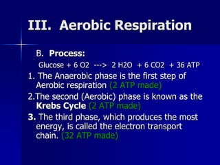 III. Aerobic Respiration
B. Process:
Glucose + 6 O2 ---> 2 H2O + 6 CO2 + 36 ATP
1. The Anaerobic phase is the first step o...