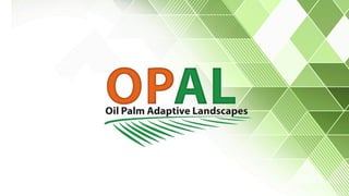 Tata kelola perkebunan kelapa sawit multi aras: Perubahan ekologi kawasan di Kutai Kartanegara, Kalimantan Timur