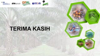 Tata kelola perkebunan kelapa sawit multi aras: Perubahan ekologi kawasan di Kutai Kartanegara, Kalimantan Timur