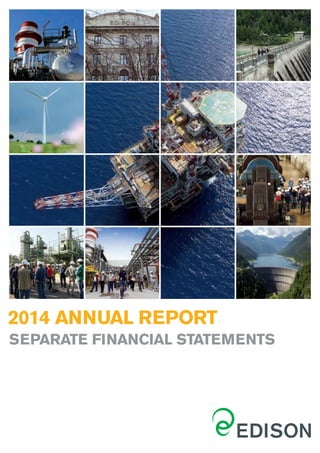 Notes to the Separate Financial Statements
2014 ANNUAL REPORT
SEPARATE FINANCIAL STATEMENTS
 