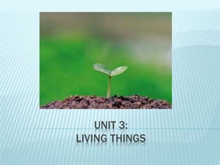 UNIT 3:
LIVING THINGS
 