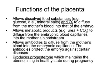 Chapter 17 Reproduction in Humans Lesson 3 - sexual intercourse ...