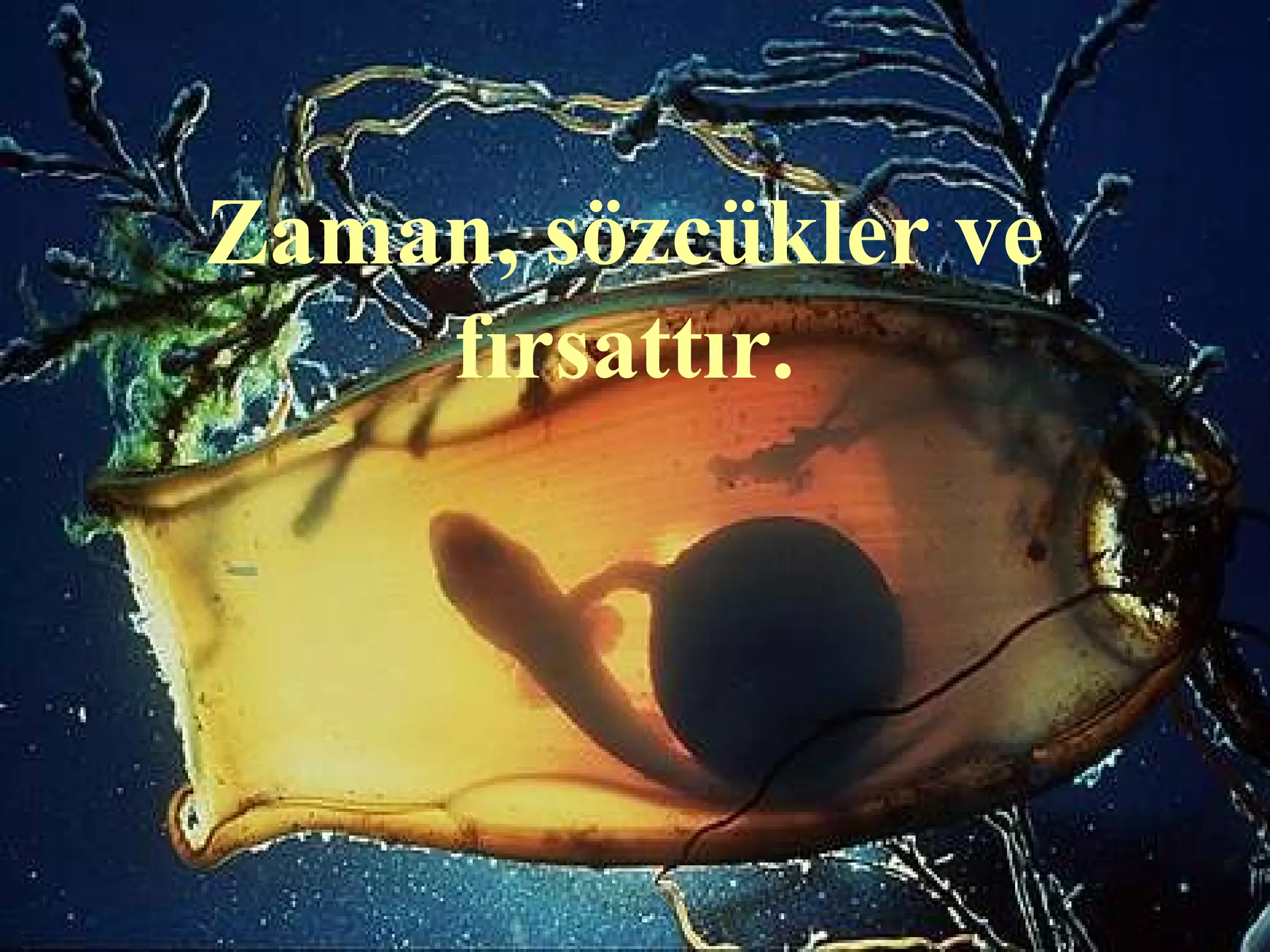 Zaman, sözcükler ve
    fırsattır.
 