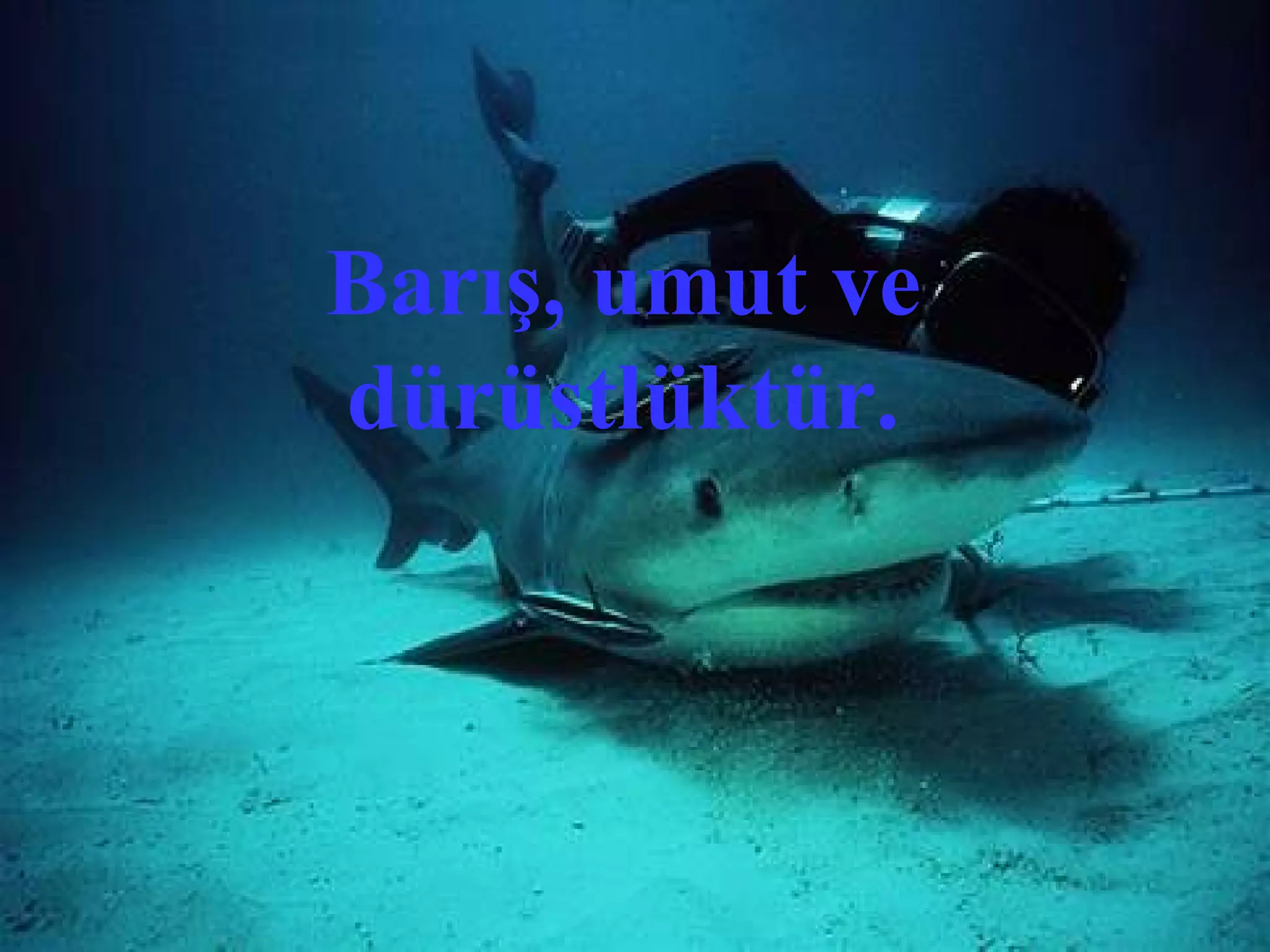 Barış, umut ve
dürüstlüktür.
 