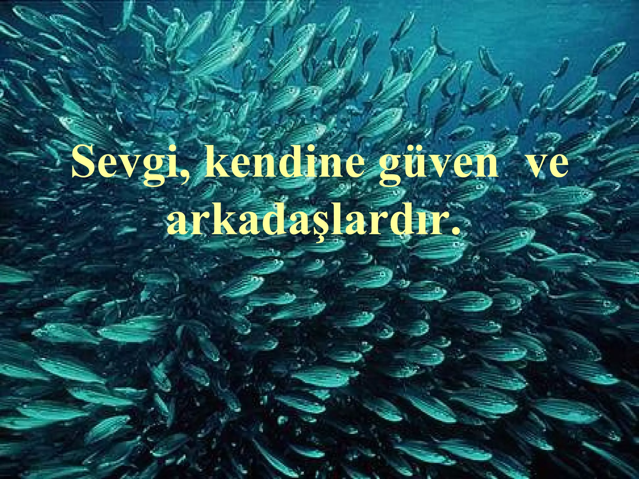 Sevgi, kendine güven ve
    arkadaşlardır.
 