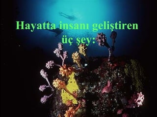 Hayatta insanı geliştiren
         üç şey:
 