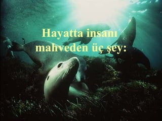 Hayatta insanı
mahveden üç şey:
 