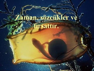 Zaman, sözcükler ve
    fırsattır.
 