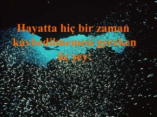 Hayatta hiç bir zaman
kaybedilmemesi gereken
        üç şey:
 