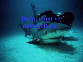 Barış, umut ve
dürüstlüktür.
 