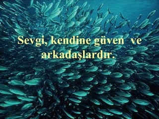 Sevgi, kendine güven ve
    arkadaşlardır.
 