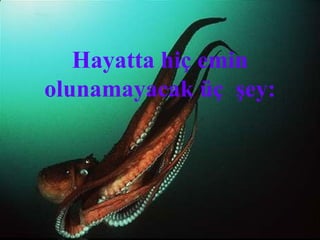 Hayatta hiç emin
olunamayacak üç şey:
 