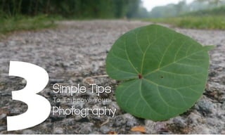 3 simple tips to improve your photography