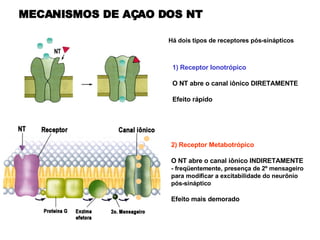 1) Receptor Ionotrópico O NT abre o canal iônico DIRETAMENTE Efeito rápido 2) Receptor Metabotrópico O NT abre o canal iônico INDIRETAMENTE - freqüentemente, presença de 2º mensageiro para modificar a excitabilidade do neurônio pós-sináptico Efeito mais demorado MECANISMOS DE AÇAO DOS NT   Há dois tipos de receptores pós-sinápticos 