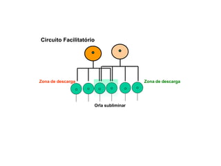 Orla subliminar Zona de descarga Zona de descarga Circuito Facilitatório 