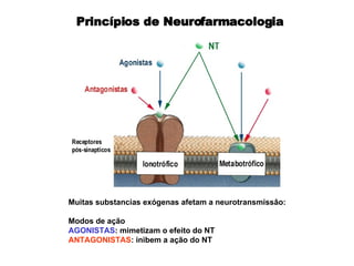 Princípios de Neurofarmacologia Muitas substancias exógenas afetam a neurotransmissâo: Modos de ação AGONISTAS : mimetizam o efeito do NT ANTAGONISTAS : inibem a ação do NT  