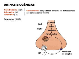 AMINAS BIOGÊNICAS Noradrenalina  (Nor) Adrenalina   (Adr) Dopamina   (DA) Serotonina  (5-HT)  Catecolaminas:  compartilham a mesma via de biossíntese que começa com a tirosina.  