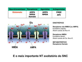 IONOTRÓFICO Receptores não-NMDA (ou AMPA) Excitatório (rápido) Abrem canais de Na e K Receptores NMDA Excitatório (lento) Abrem canais de Ca, Na e K METABOTRÓFICO  Receptores Kainato E o mais importante NT excitatório do SNC CNQX AP5 AMPA NMDA AMPA NMDA Kainato Glutamato Antagonistas Agonistas Receptores Neurotransmissor 