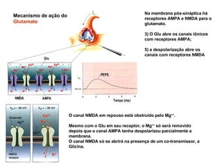 Mecanismo de ação do  Glutamato O canal NMDA em repouso está obstruído pelo Mg ++ .  Mesmo com o Glu em seu receptor, o Mg ++  só será removido depois que o canal AMPA tenha despolarizou parcialmente a membrana.  O canal NMDA só se abrirá na presença de um co-transmissor, a Glicina.  Na membrana pós-sináptica há receptores AMPA e NMDA para o glutamato. O Glu abre os canais iônicos com receptores AMPA; a despolarização abre os canais com receptores NMDA 
