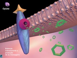 Opiate Estimula indiretamente a produção de 2o mensageiro  