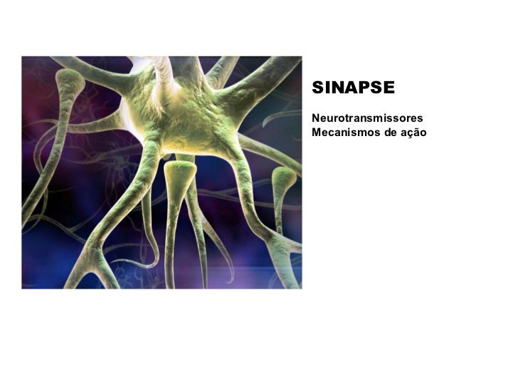 SINAPSE Neurotransmissores  Mecanismos de ação 