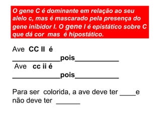 O gene C é dominante em relação ao seu 
alelo c, mas é mascarado pela presença do 
gene inibidor I. O gene I é epistático sobre C 
que dá cor mas é hipostático. 
Ave CC II é 
____________pois___________ 
Ave cc ii é 
____________pois___________ 
Para ser colorida, a ave deve ter ____e 
não deve ter ______ 
 